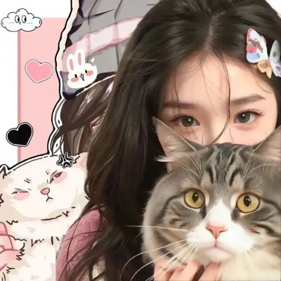 金牌贱猫：重新出击
